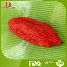 Las muestras libres ofrecen granos orgánicos del goji / wolfberry de China / goji rojo al por mayor